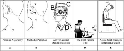 Cervical Motor and Nociceptive Dysfunction After an Acute Whiplash Injury and the Association With Long-Term Non-Recovery: Revisiting a One-Year Prospective Cohort With Ankle Injured Controls